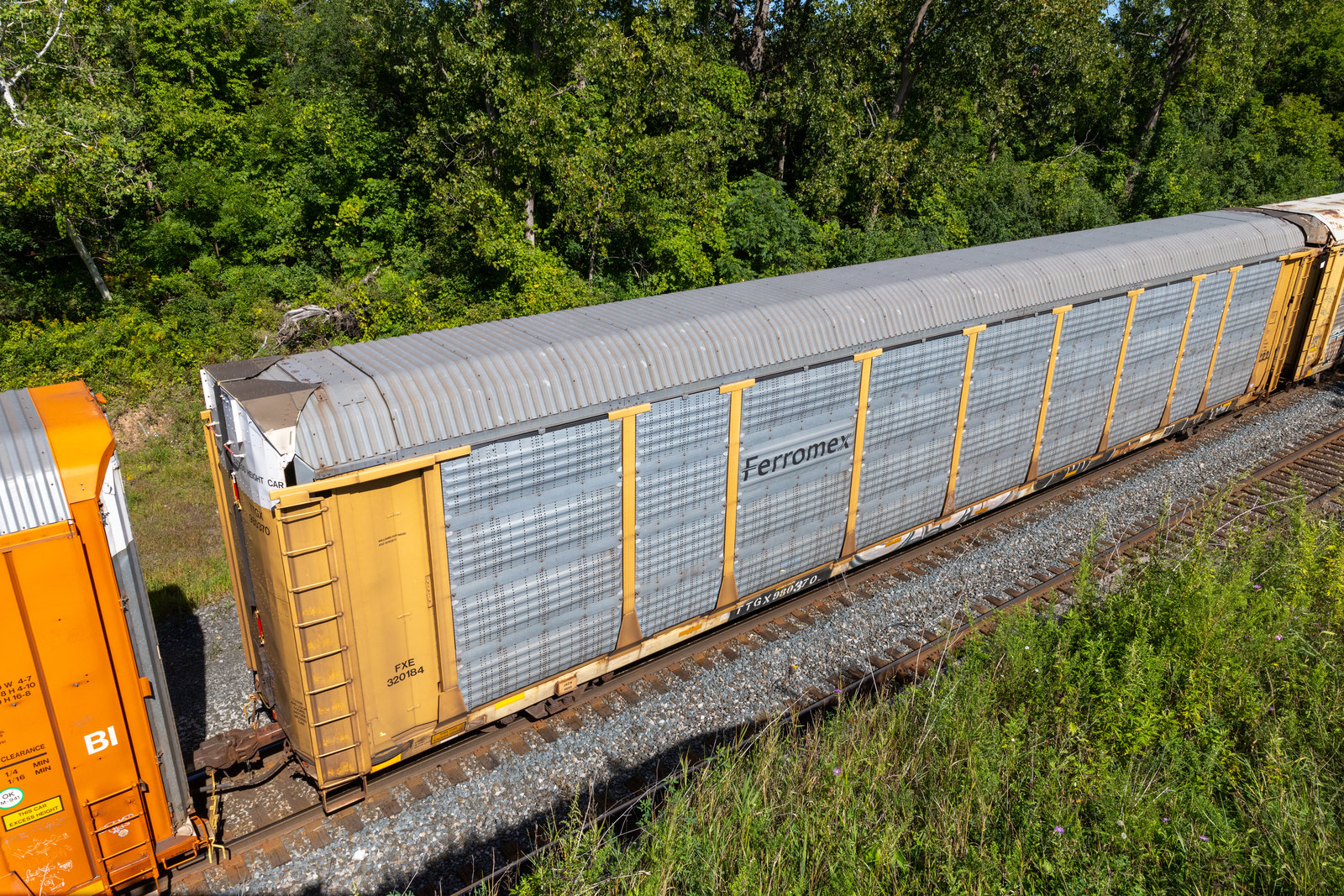 TTGX 980370