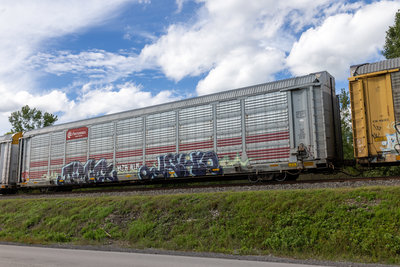 TTGX 706847