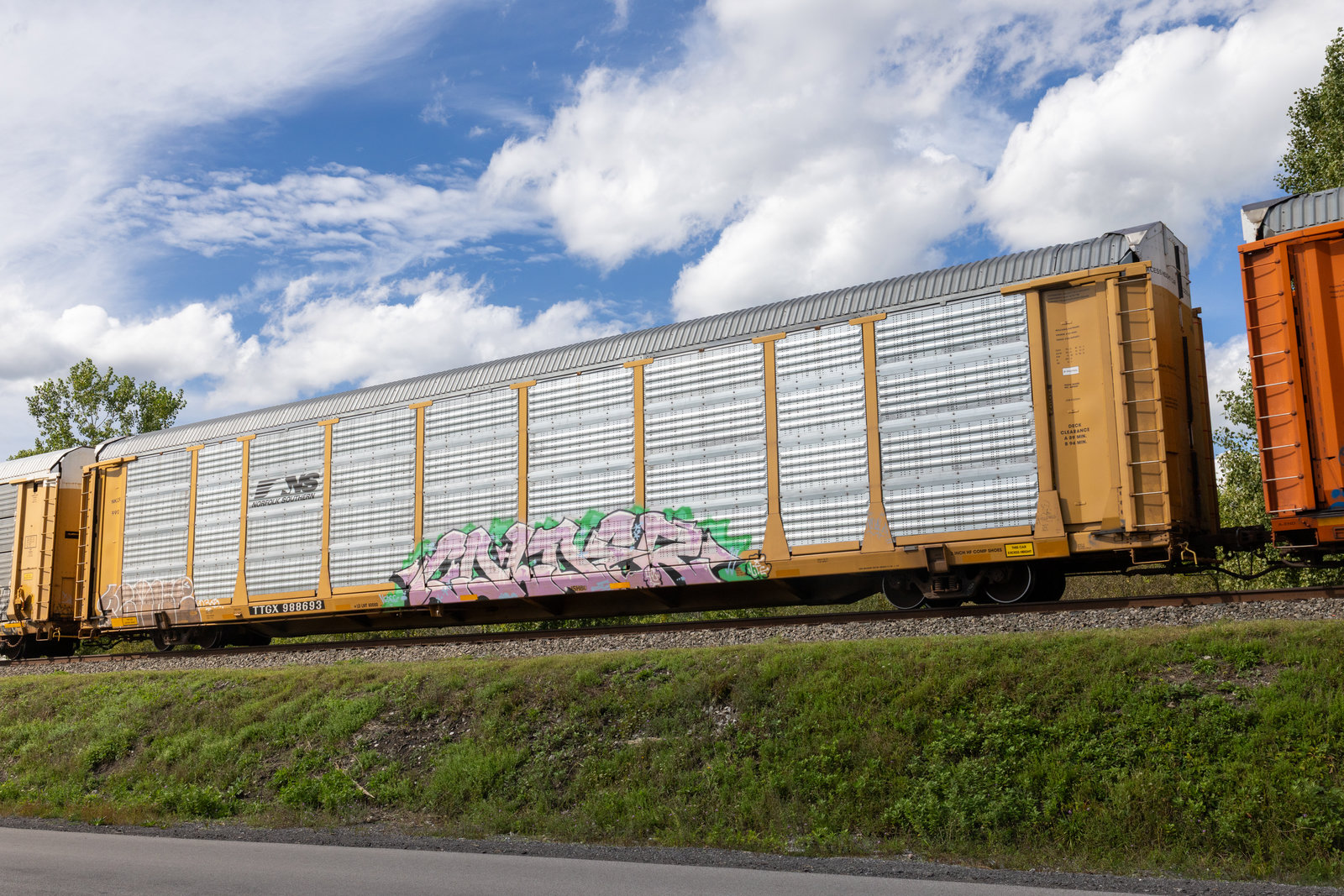 TTGX 988693