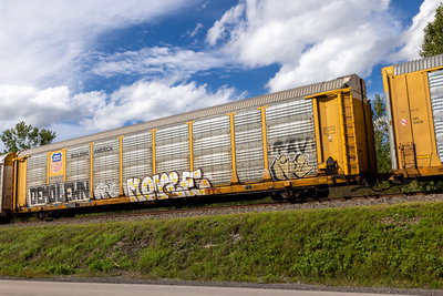 TTGX 253732