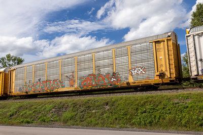 TTGX 702735