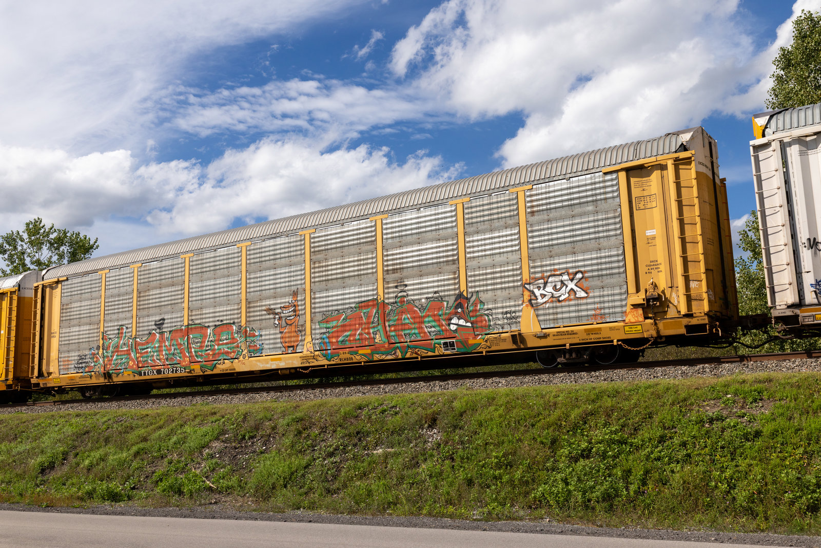 TTGX 702735
