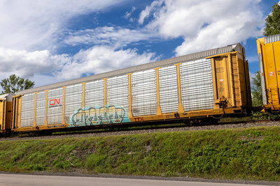 TTGX 702371