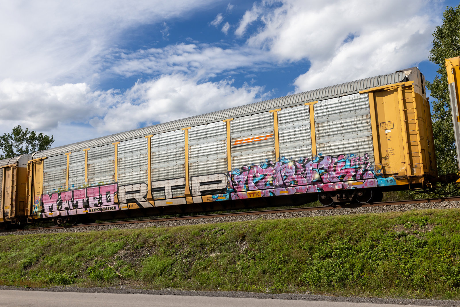 TTGX 965351