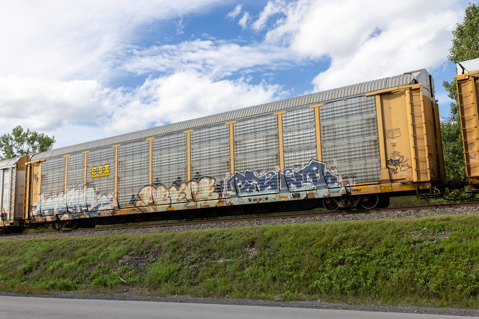 TTGX 993251