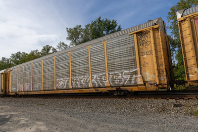 TTGX 852896