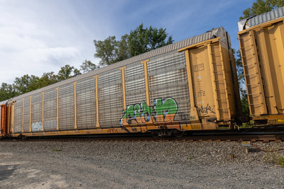 TTGX 852608