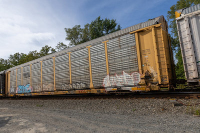 TTGX 854077