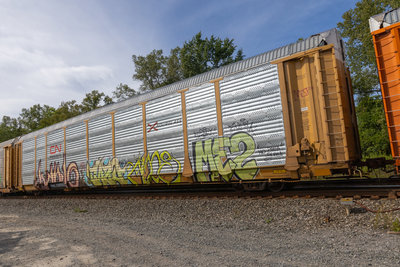 TTGX 709592