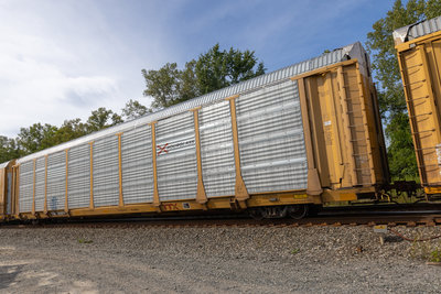 TTGX 835874