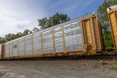 TTGX 709541