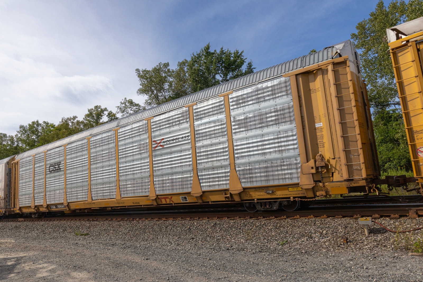 TTGX 709541
