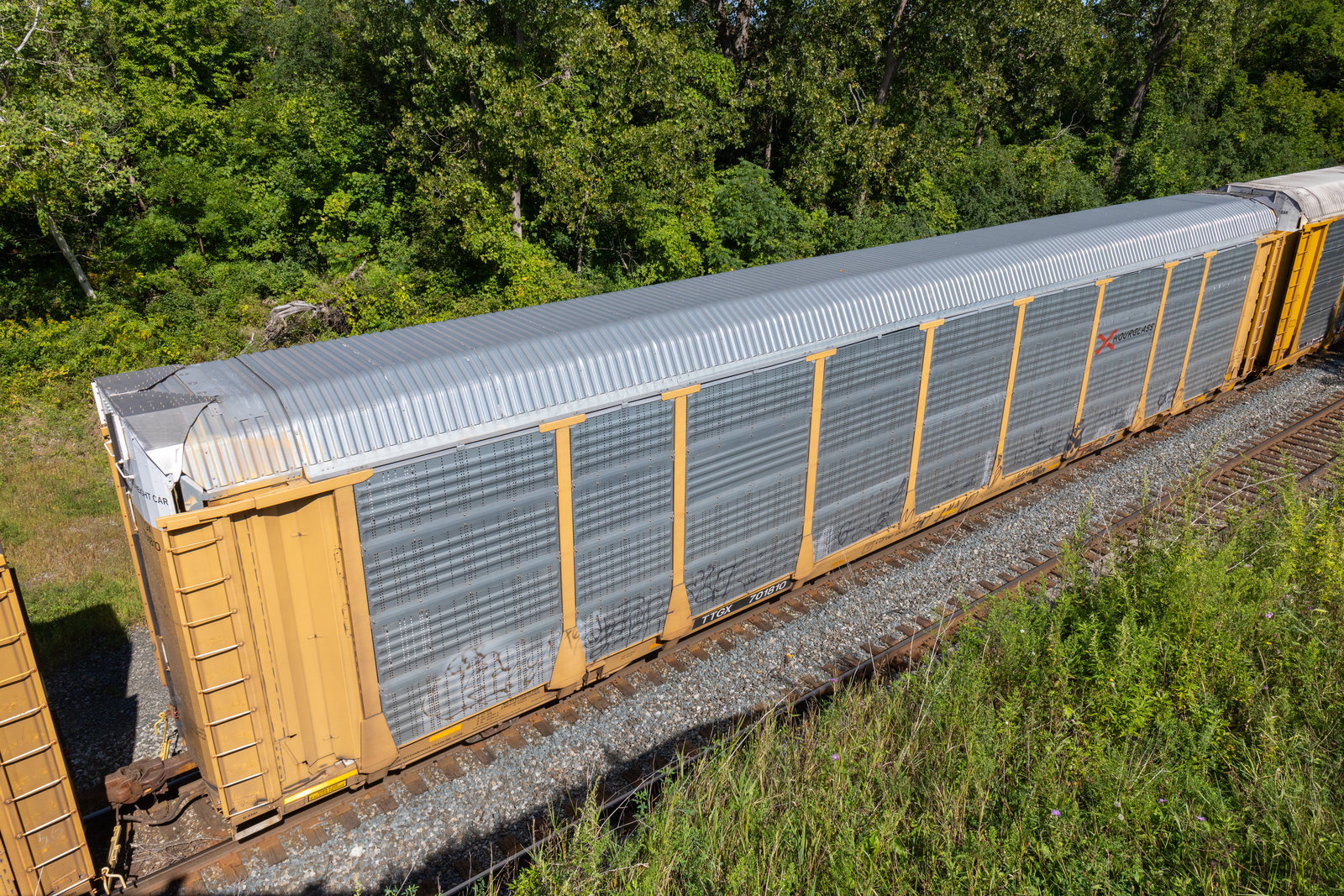 TTGX 701810