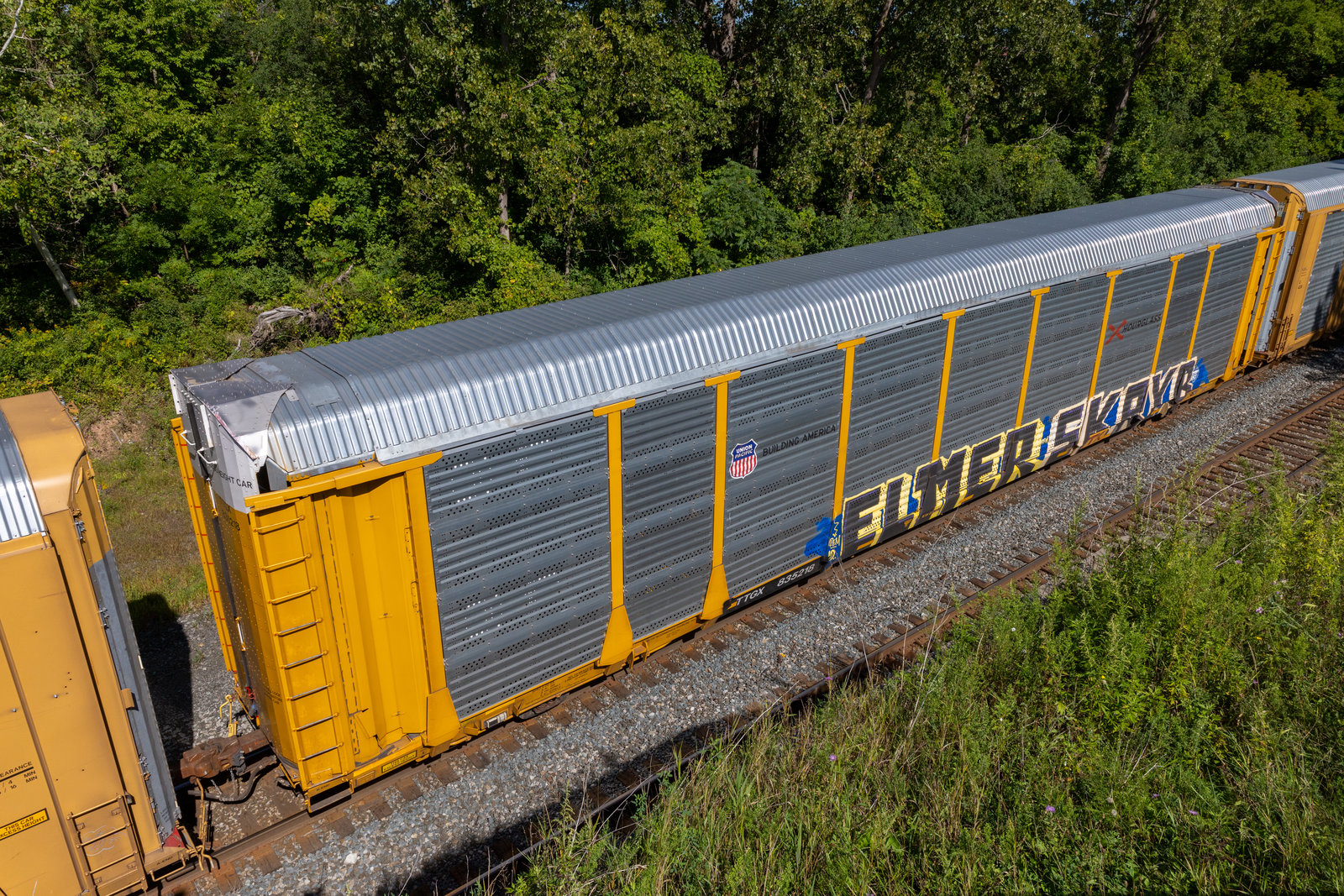 TTGX 835218