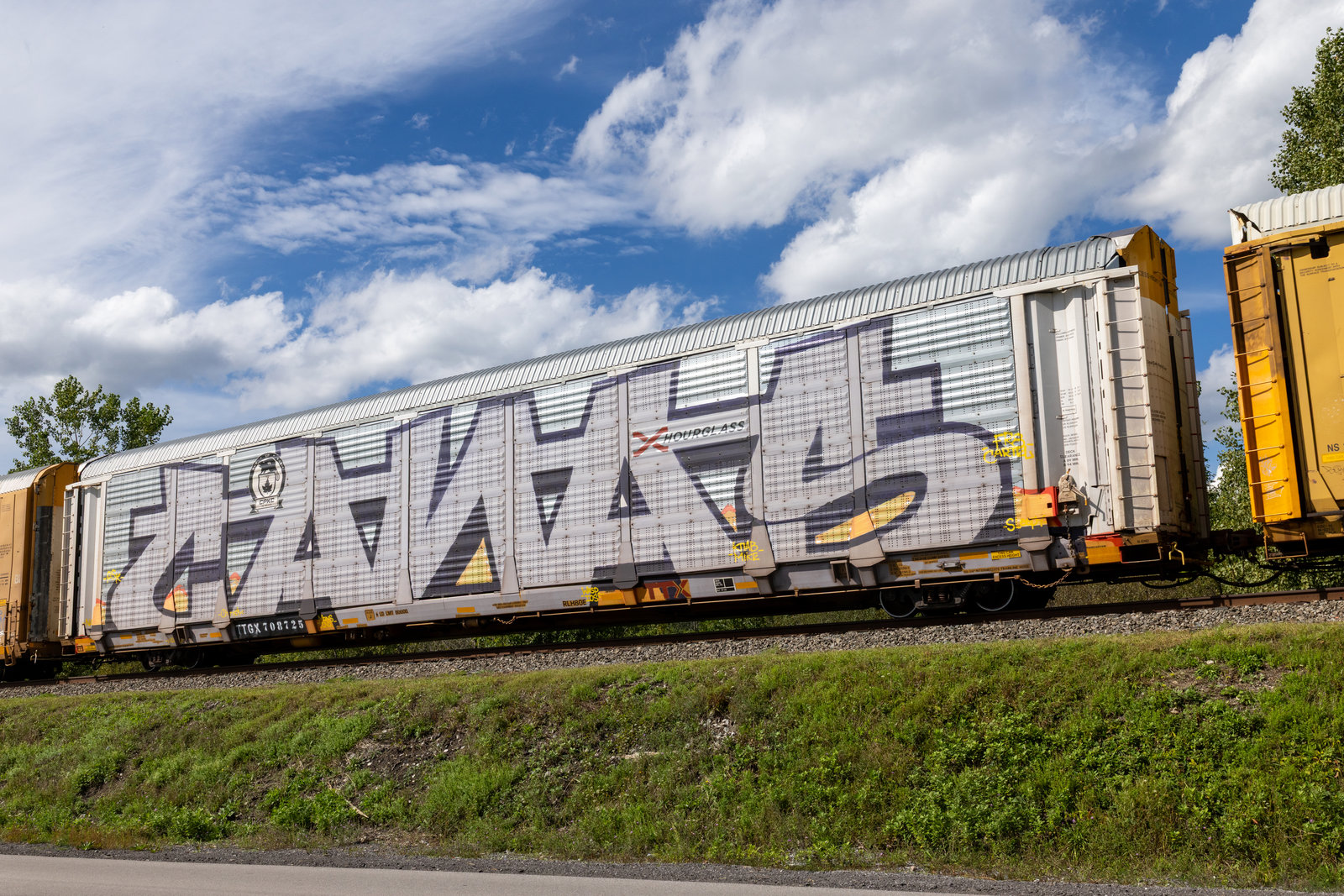 TTGX 708725