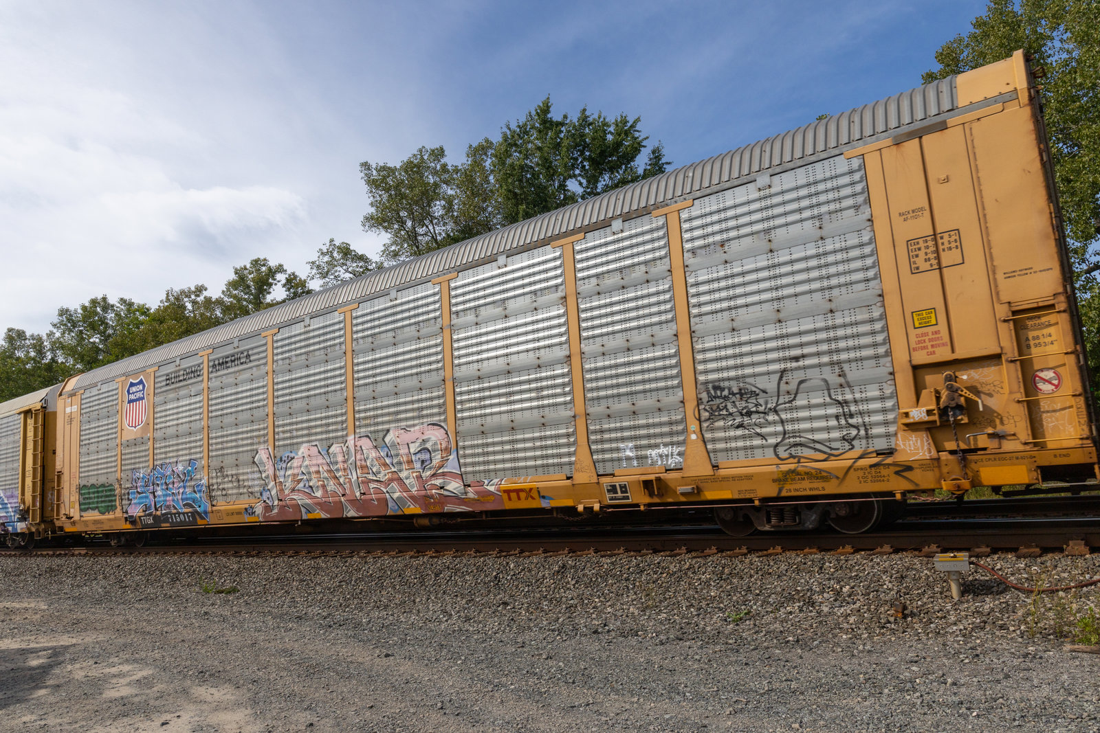 TTGX 715017