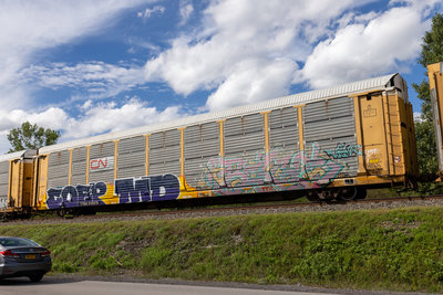 TTGX 255878