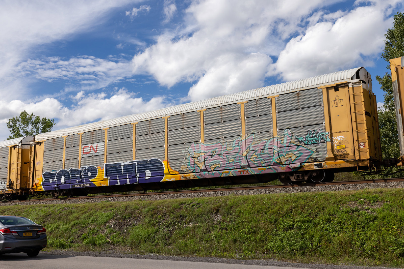 TTGX 255878