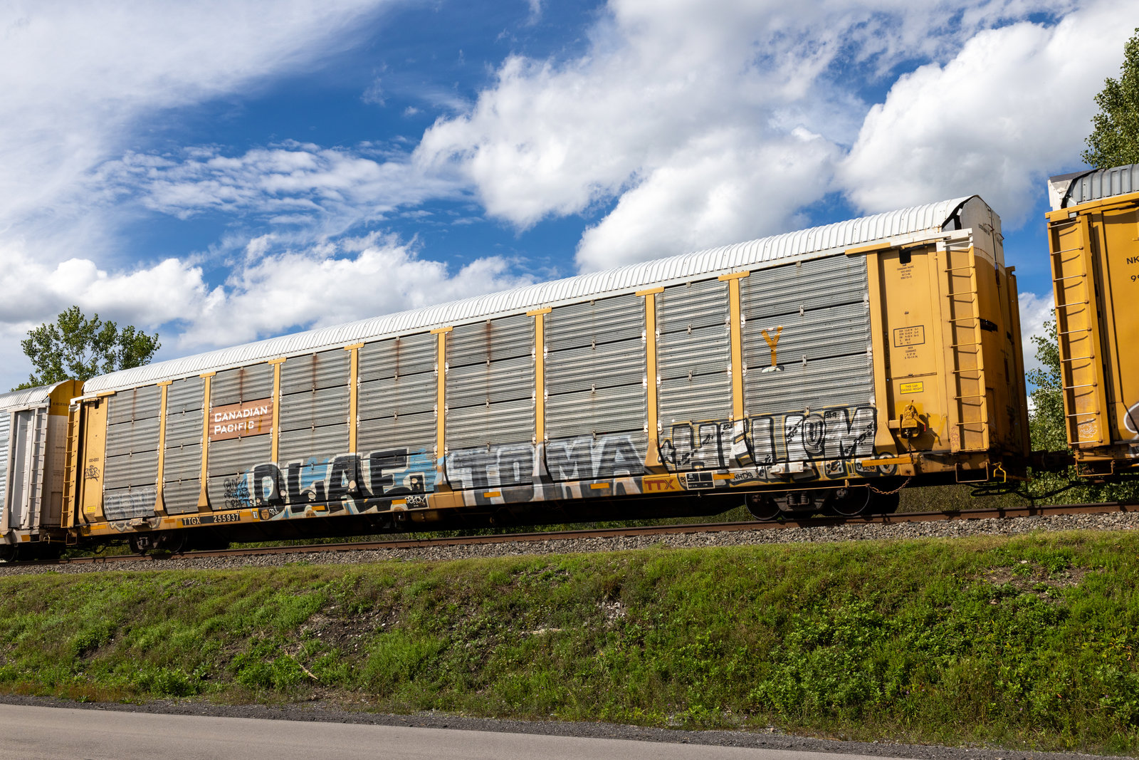 TTGX 255937