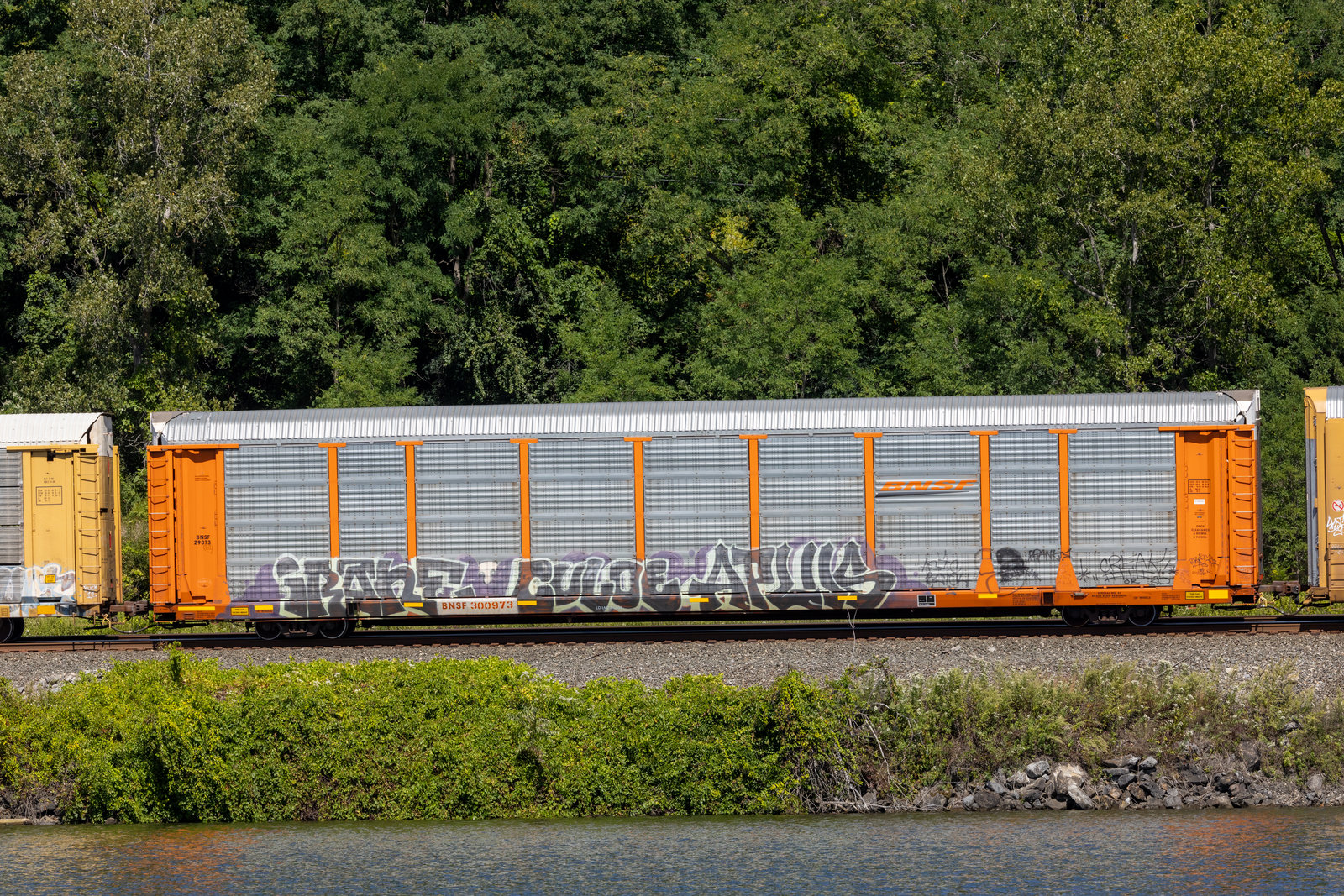 BNSF 300973