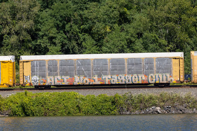 CPAA 543033