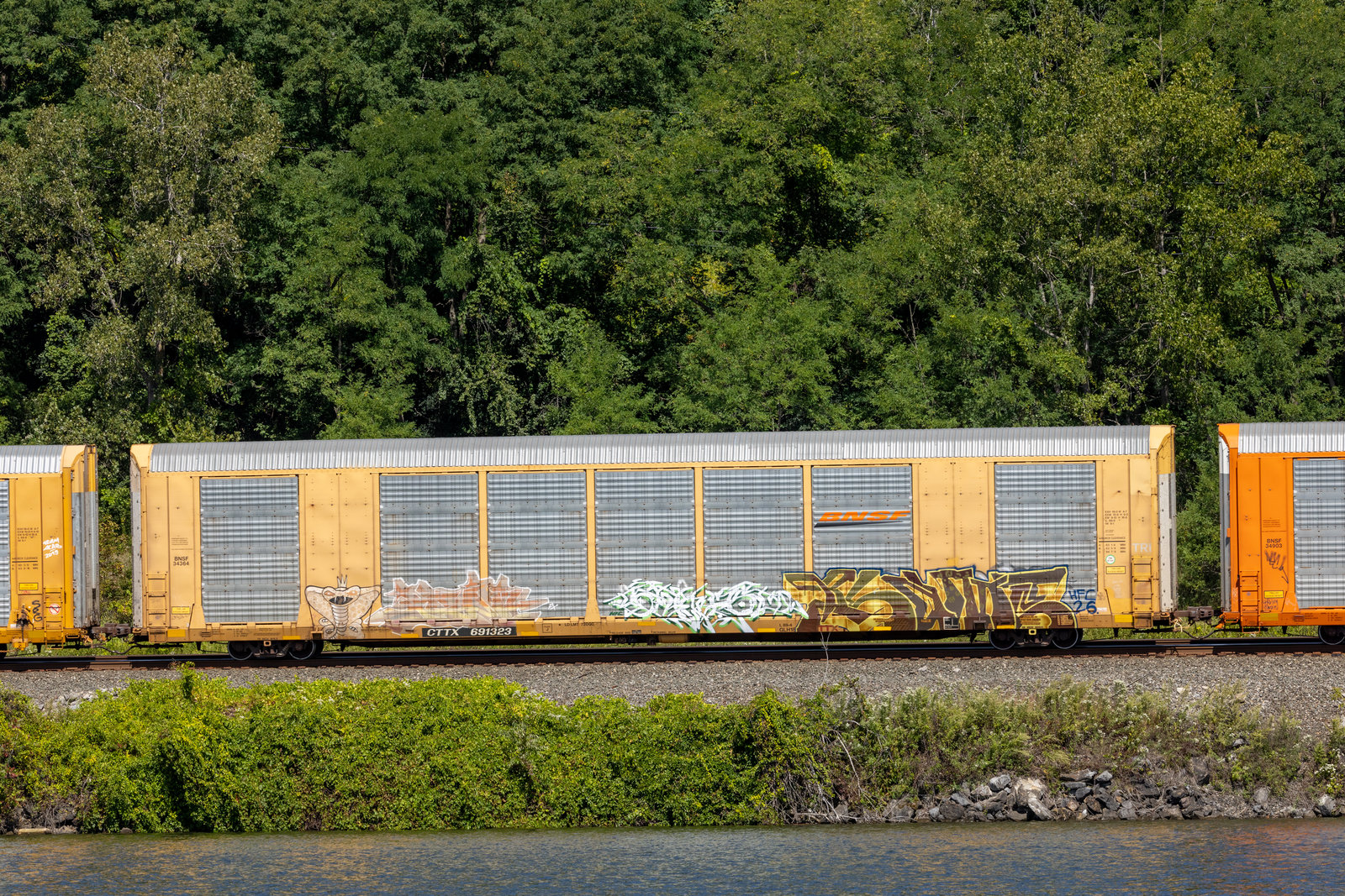 CTTX 691323
