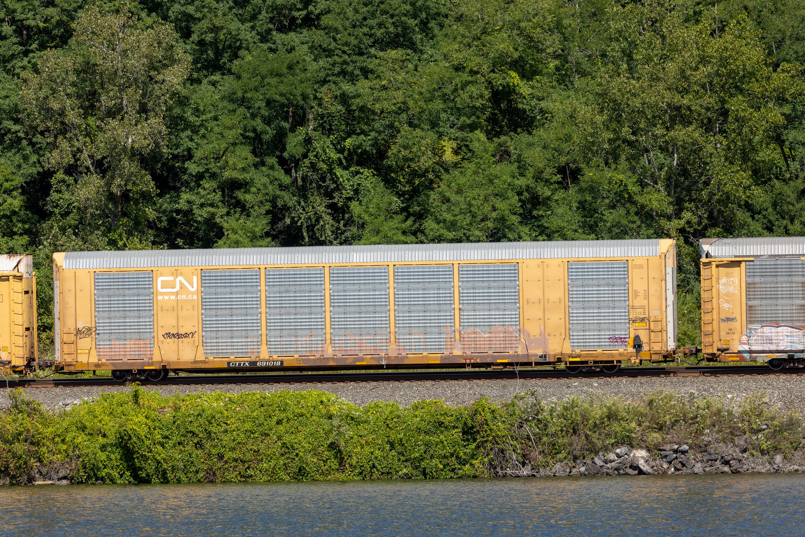CTTX 691018