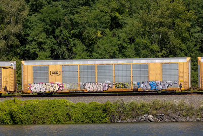 CTTX 692344