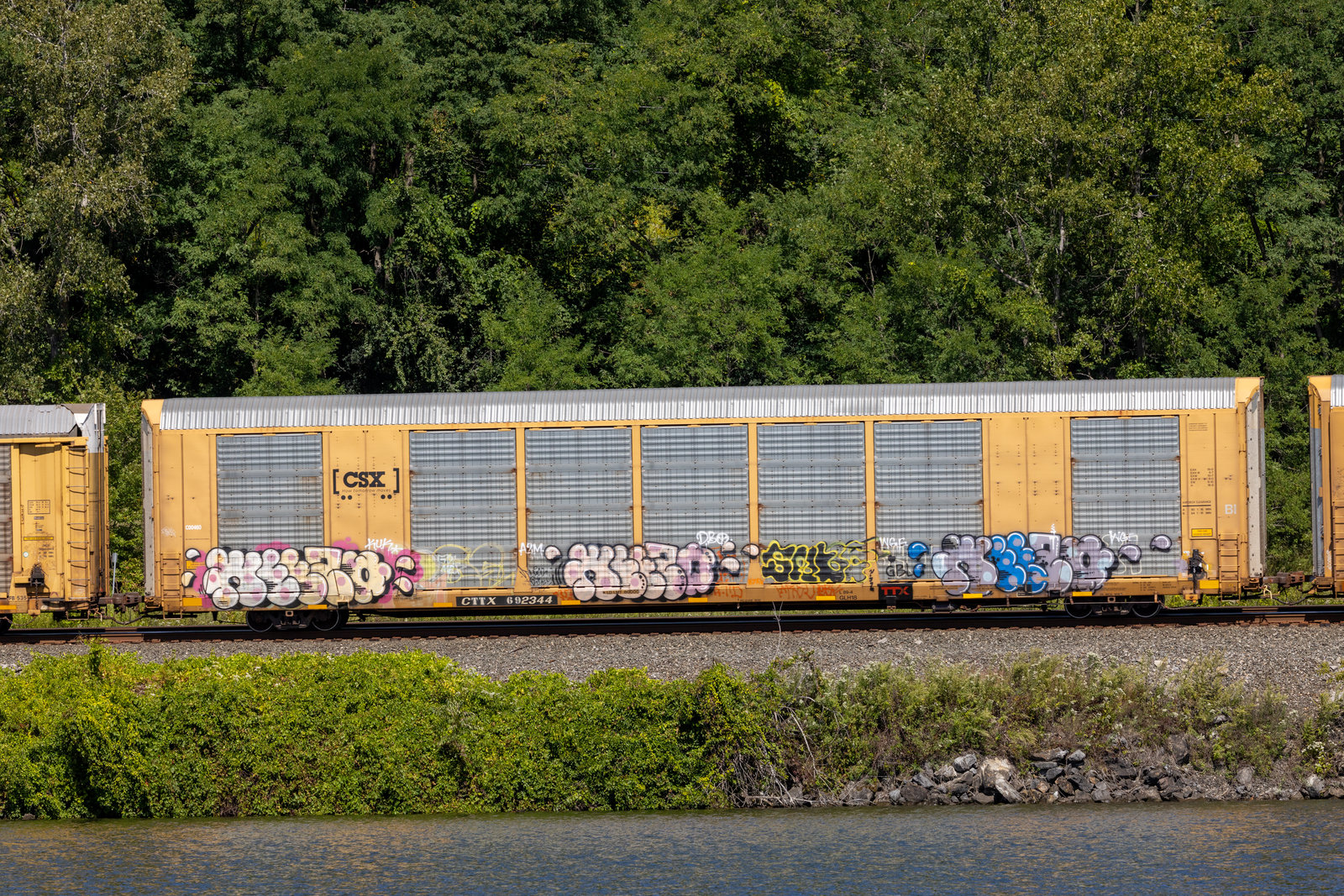 CTTX 692344