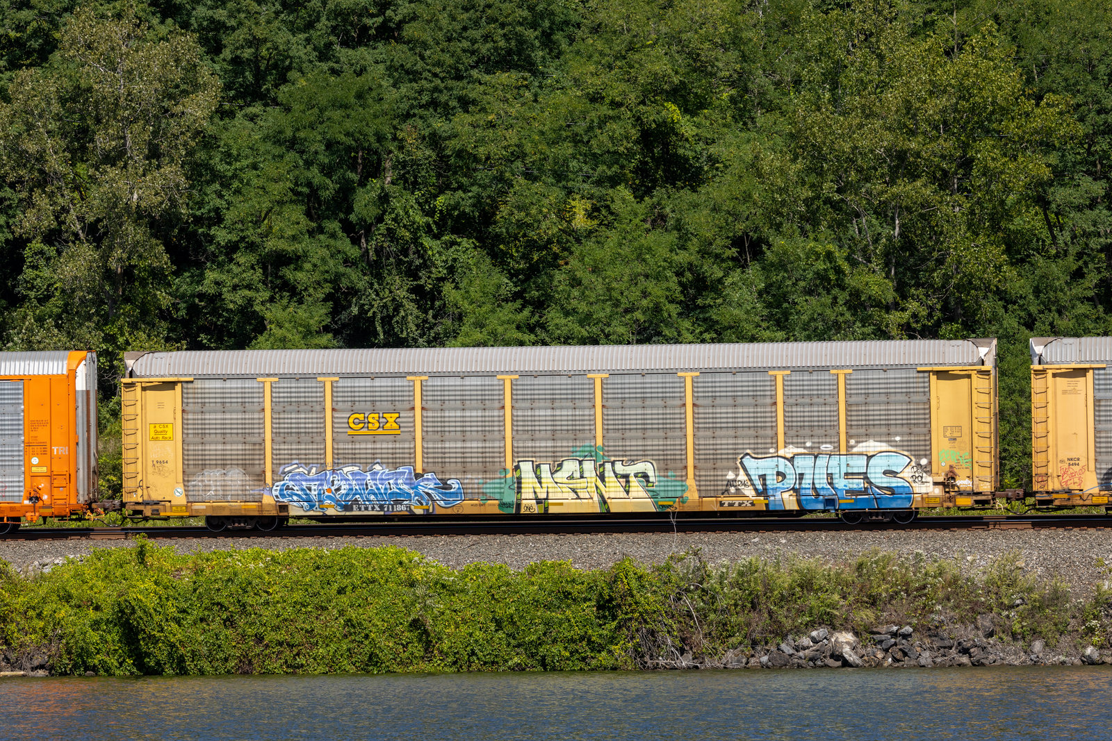 ETTX 711867