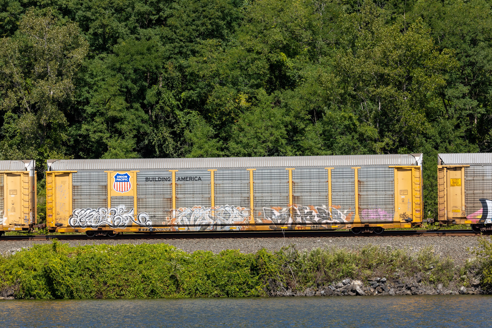 ETTX 701320