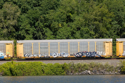 ETTX 702343