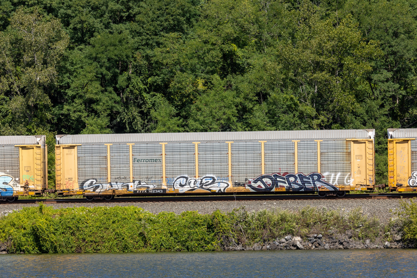 ETTX 702343