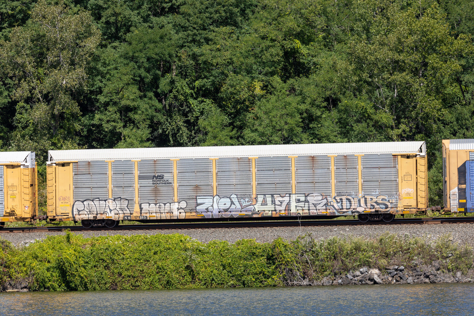 NS 171185