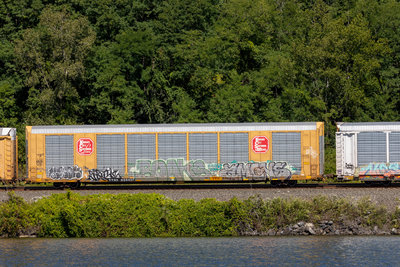 TTGX 696407