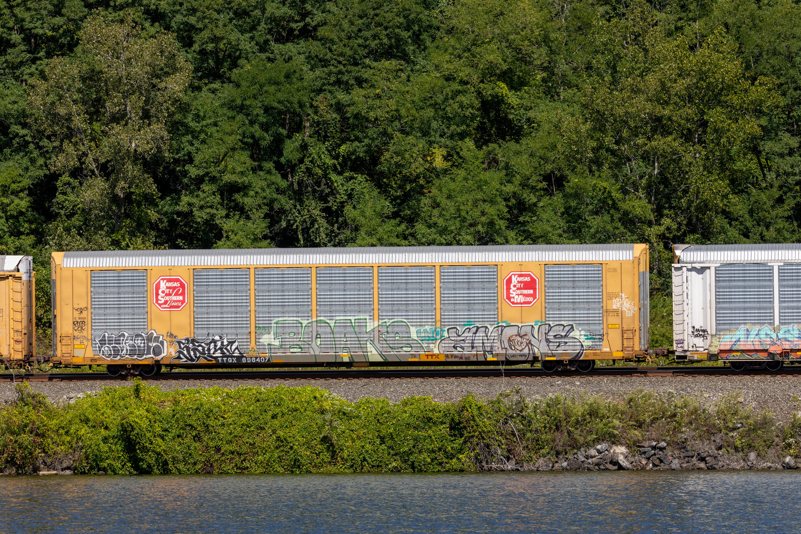 TTGX 696407