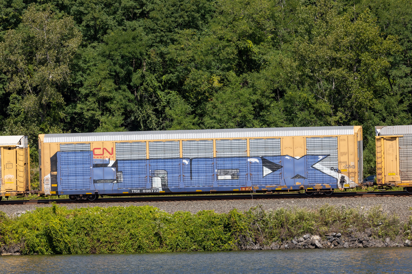 TTGX 696772