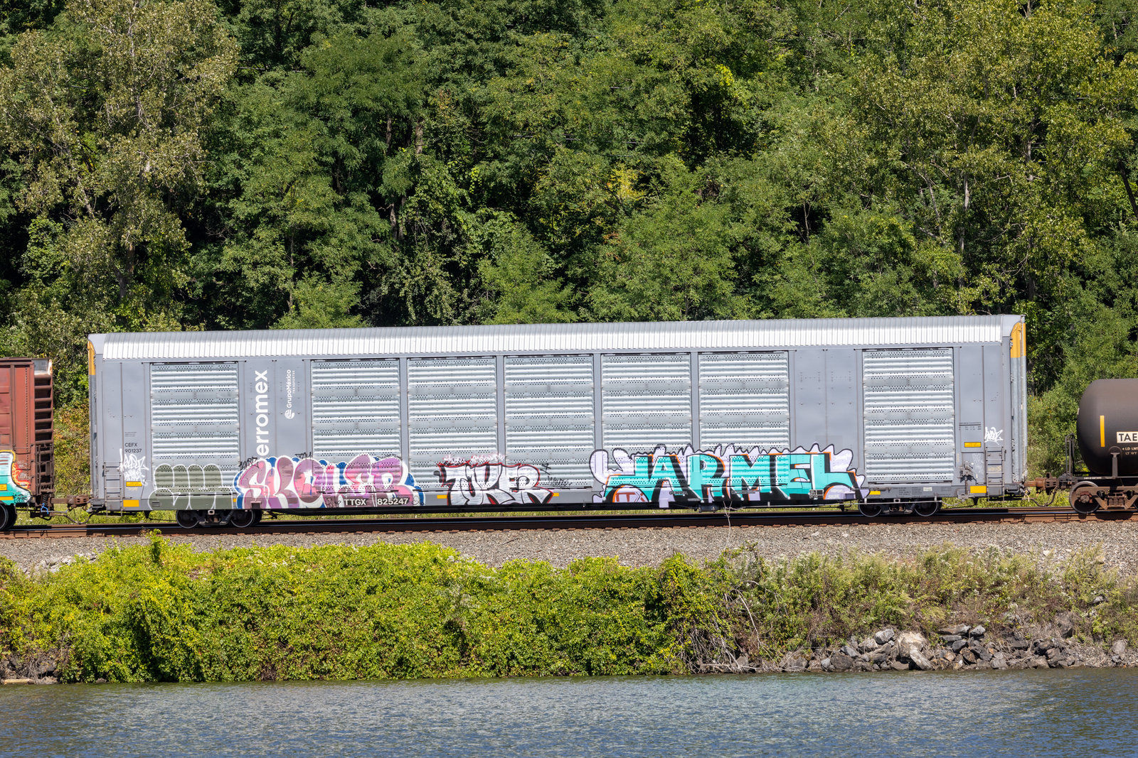 TTGX 825247