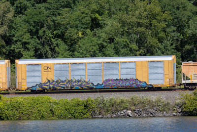 TTGX 824569
