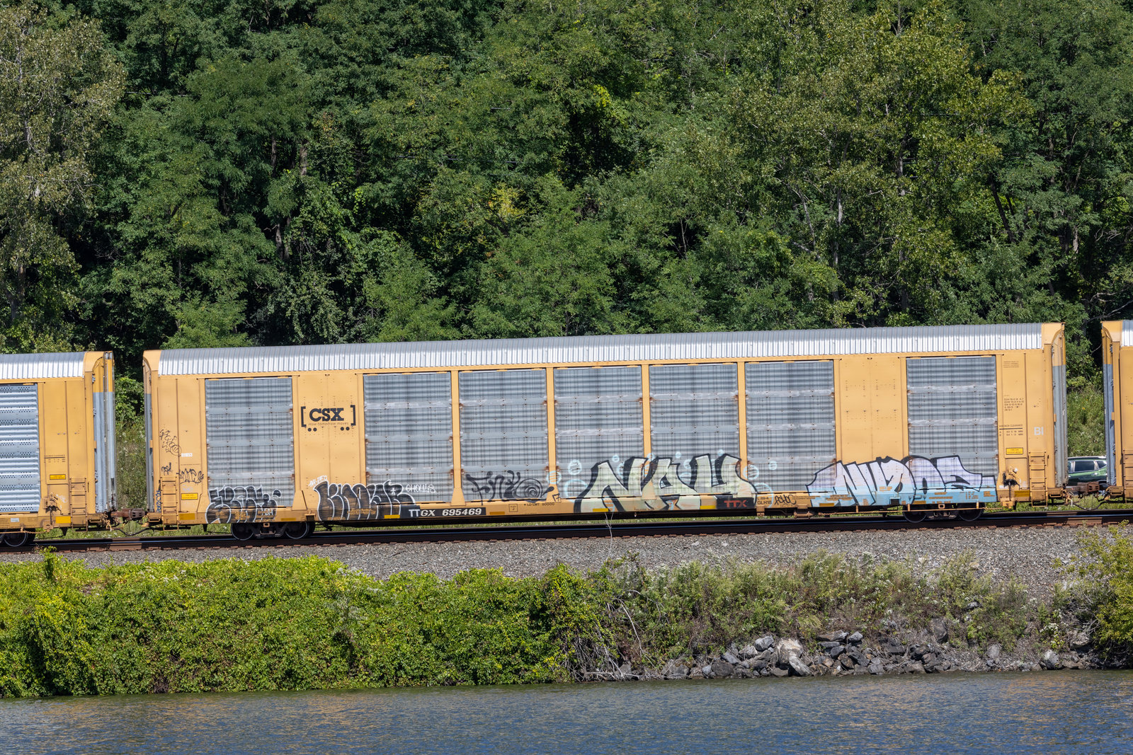 TTGX 695469