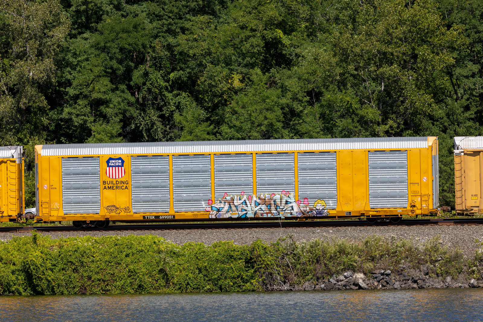 TTGX 699051