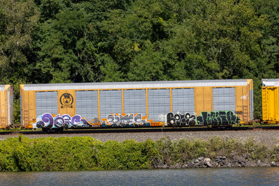 TTGX 822373