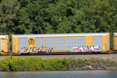 TTGX 822715