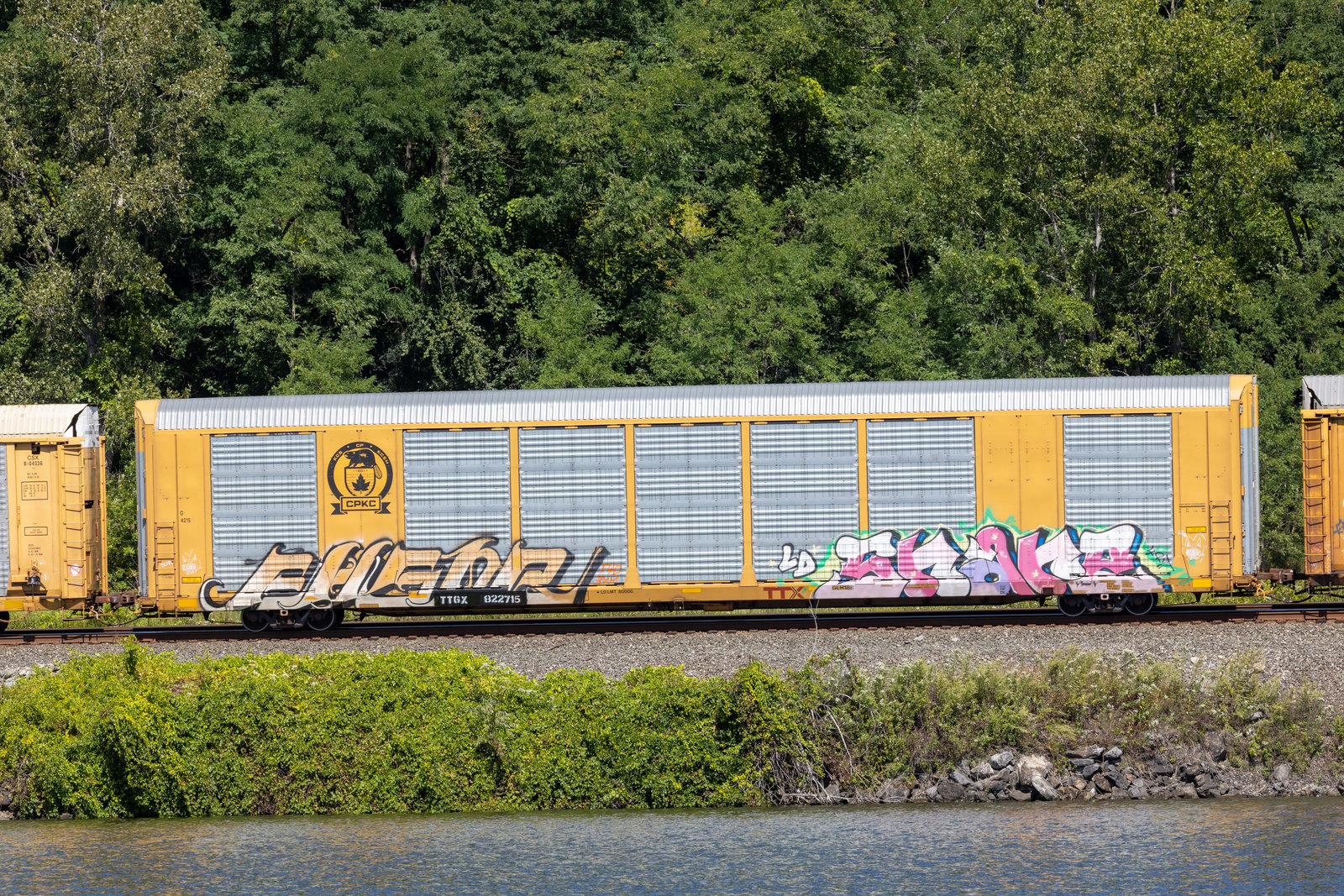 TTGX 822715