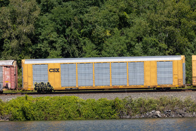 TTGX 699717