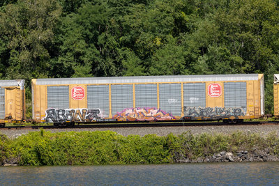 TTGX 692923