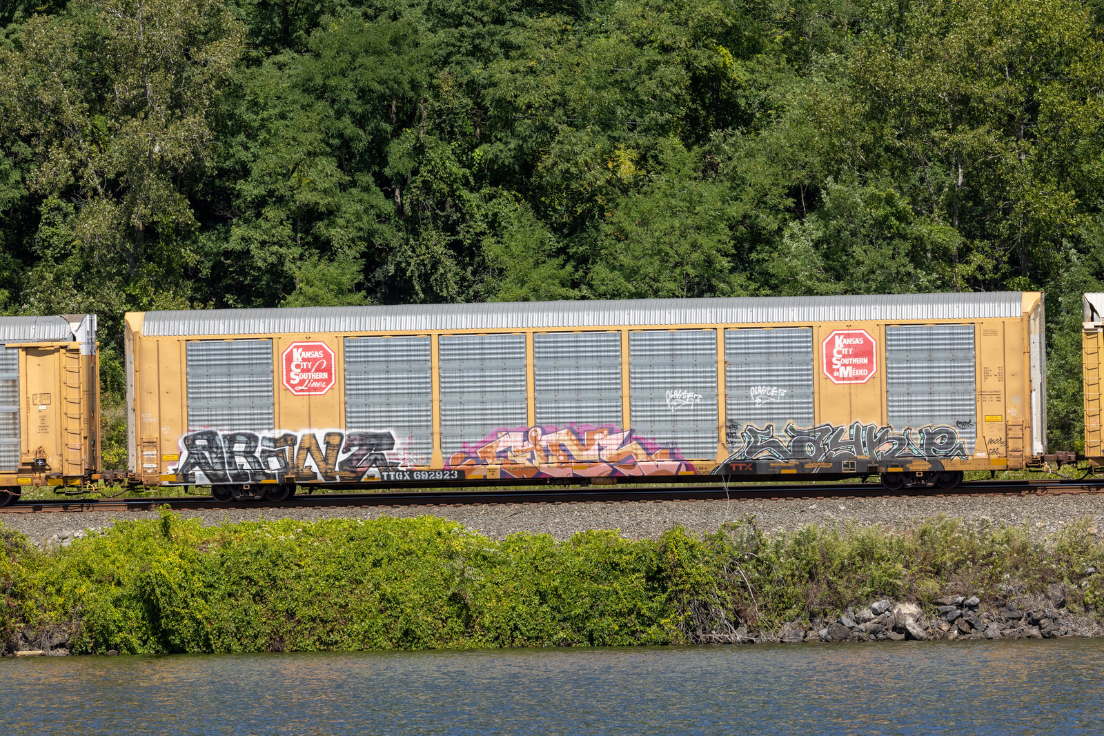TTGX 692923