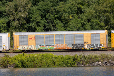 TTGX 697083