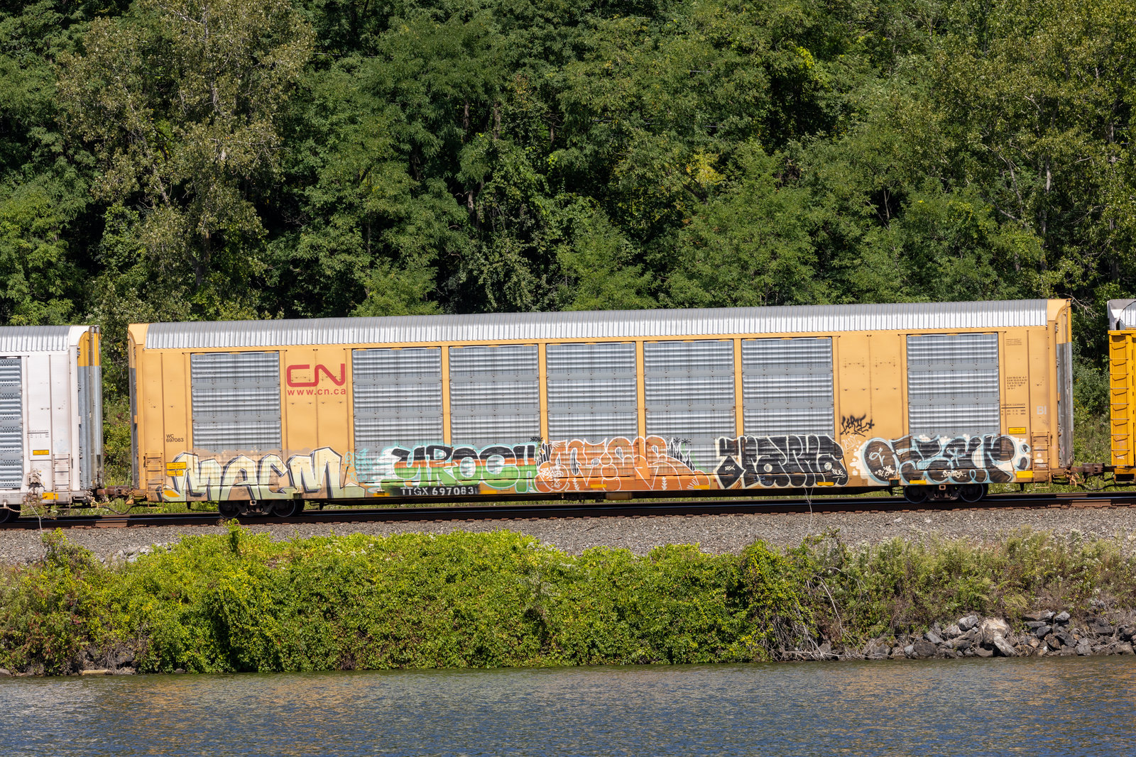 TTGX 697083