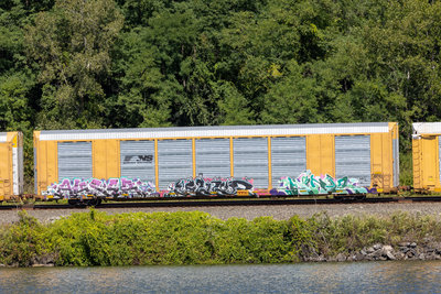 TTGX 824213